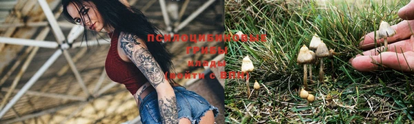 трава Снежинск