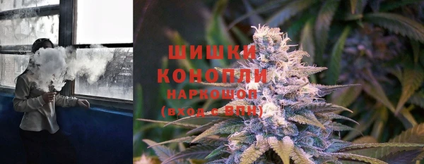 шишки Слюдянка