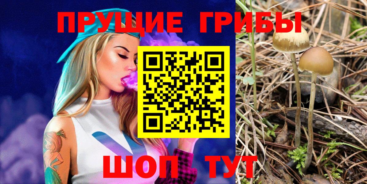 Галлюциногенные грибы мухоморы Всеволожск